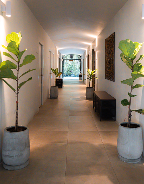 Recovery hallway with plants leading into treatment rooms